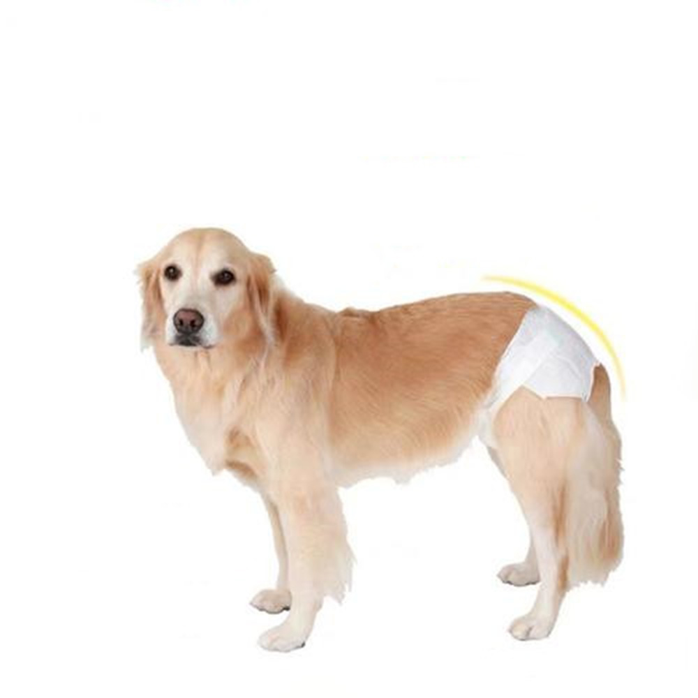 Wholesale Quick Absorbent Pet Diaper Oem Service Provided,Hot Sale Type Brand Design Quality
